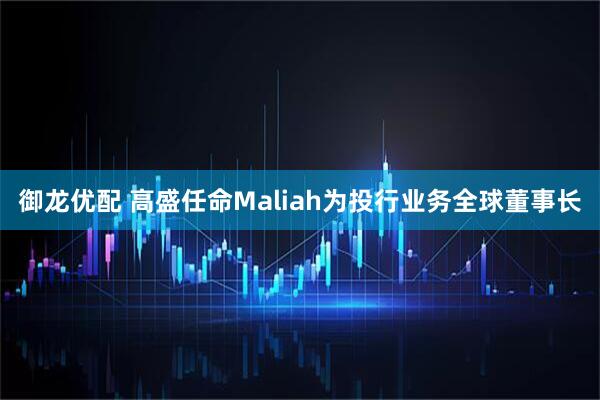 御龙优配 高盛任命Maliah为投行业务全球董事长