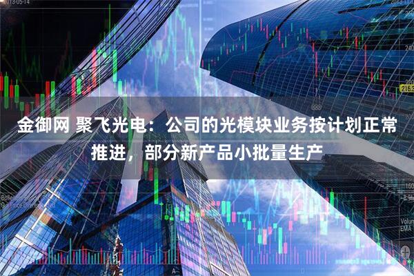 金御网 聚飞光电：公司的光模块业务按计划正常推进，部分新产品小批量生产